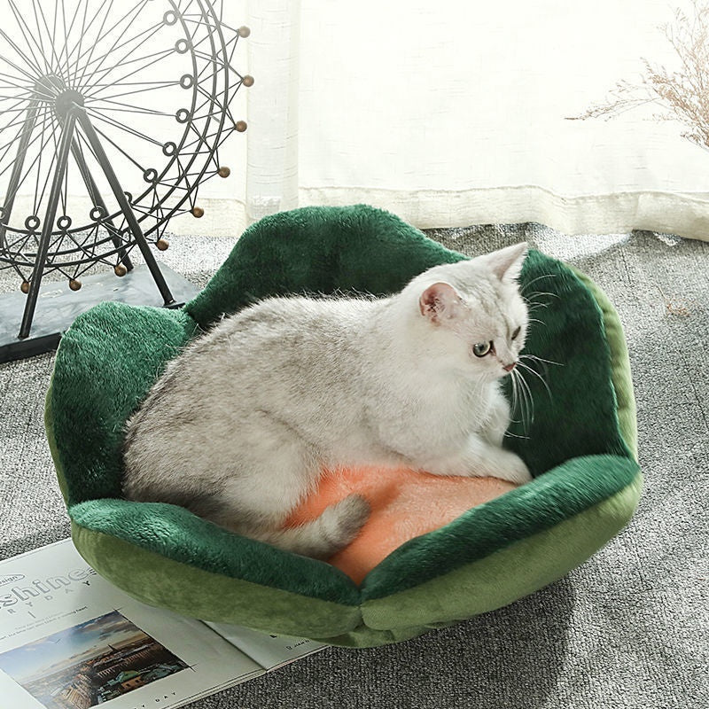 Paw Nest