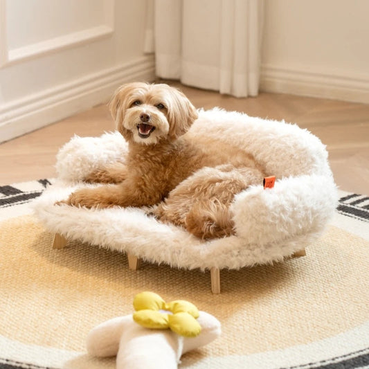 ✨ Beautiful Pet Products That Elevate Everyday Moments