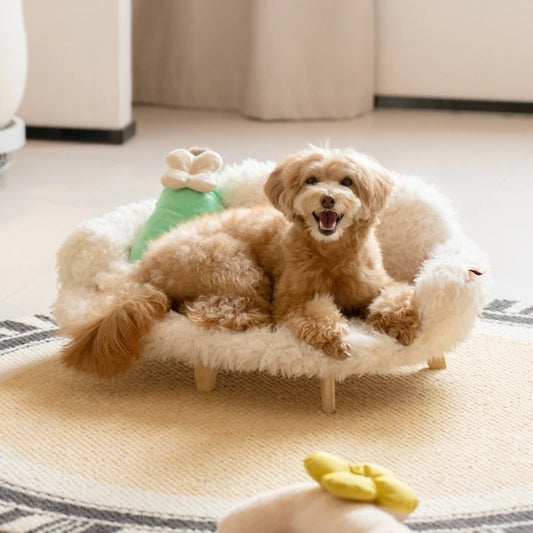 Luxury Wooden Pet Bed